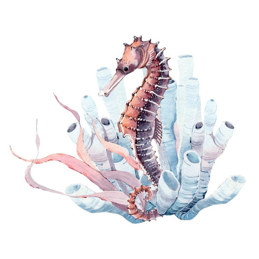 Seahorse in the kelp