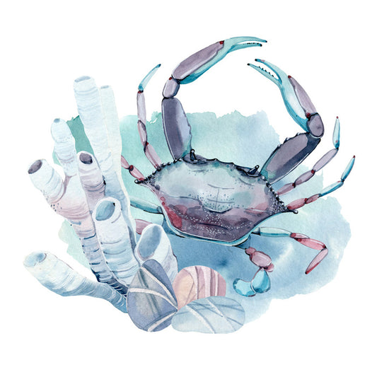 Crab in the coral