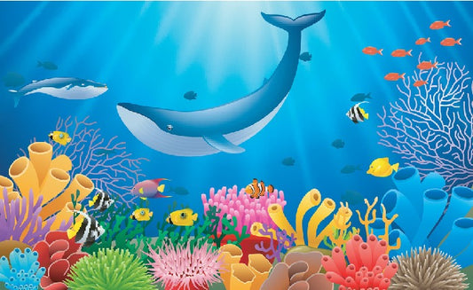 Humpback reef