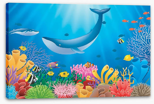 Humpback reef