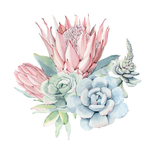 Succulent protea