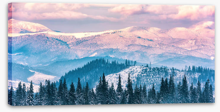 Alpine beauty