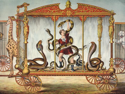 The snake tamer