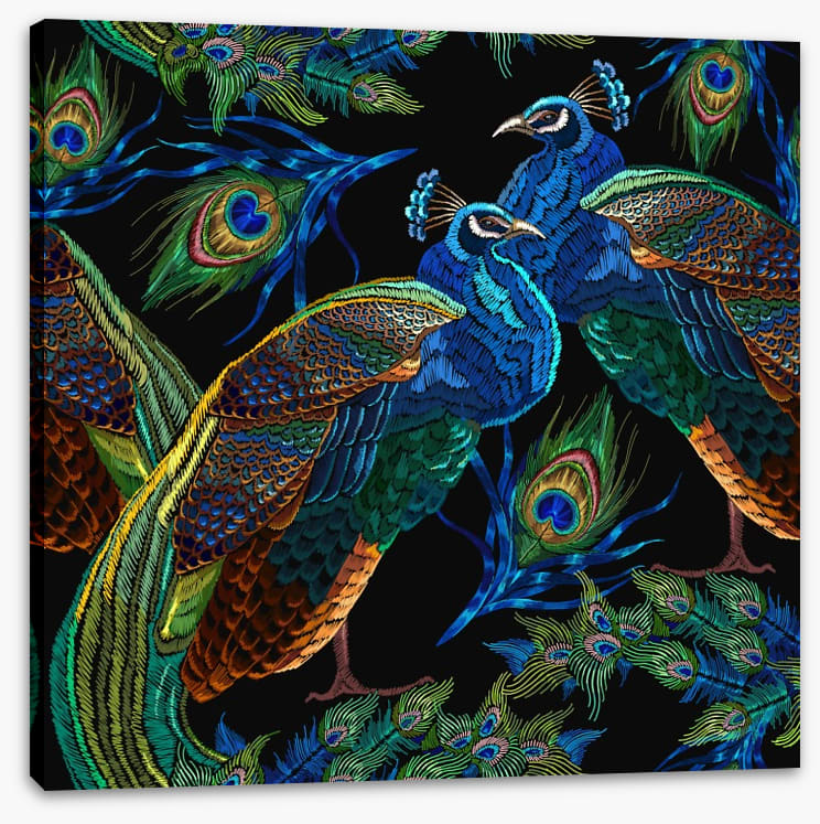 Pretty as a peacock