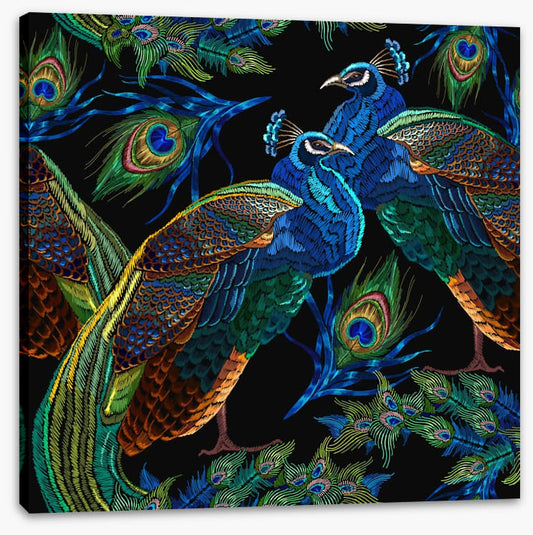 Pretty as a peacock