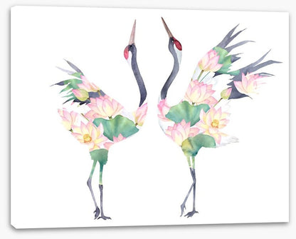 Lotus crane couple