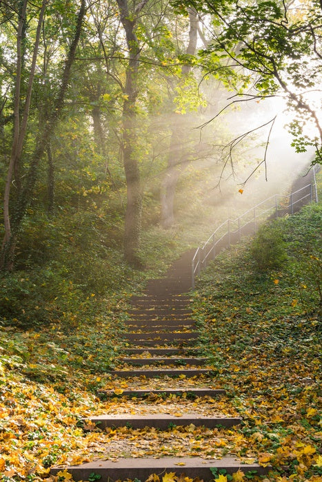 Staircase to heaven