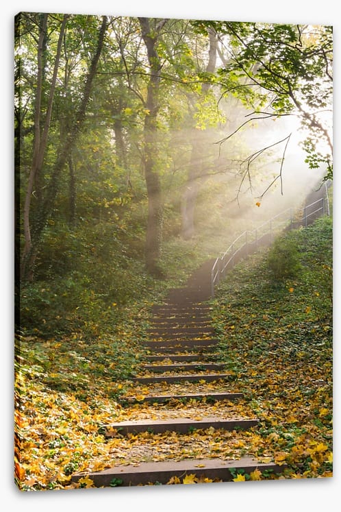 Staircase to heaven