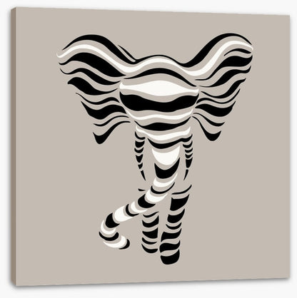 Elephant stripes