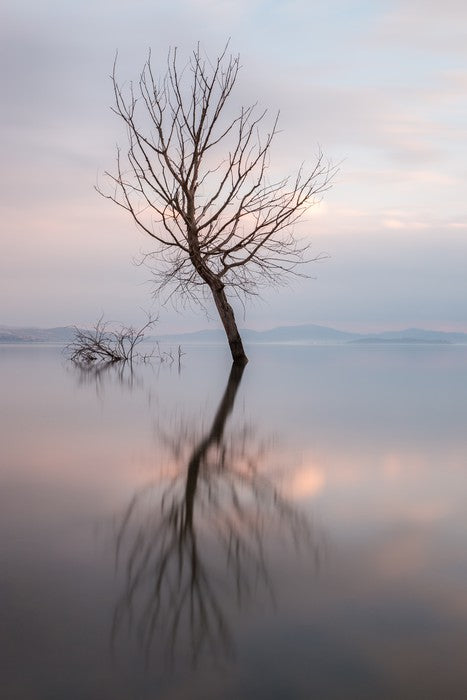 Lady of the lake