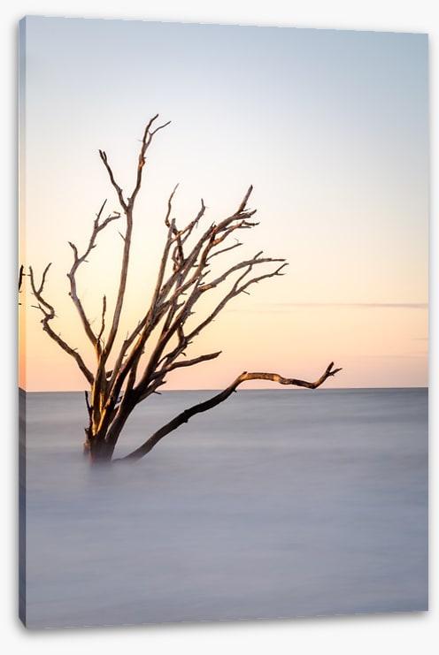 The skeleton tree