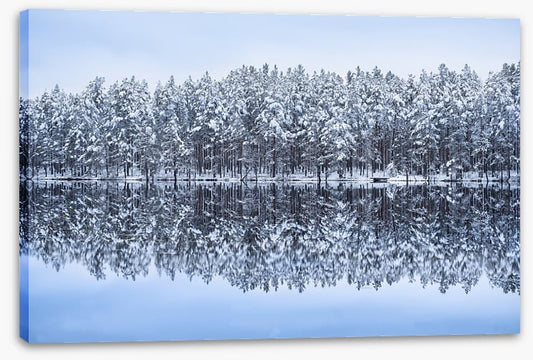 Frosty forest reflections