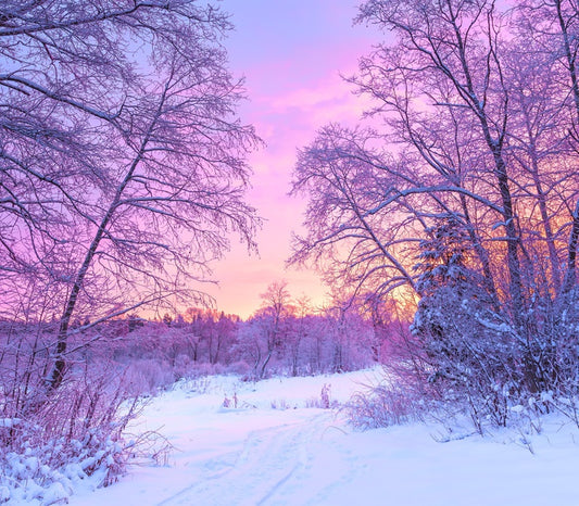 Snowfall sunrise