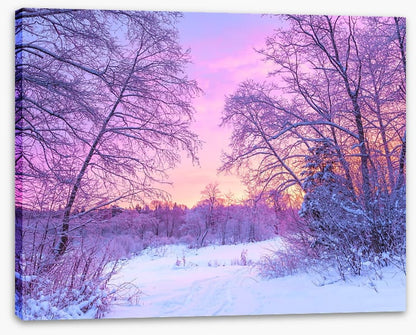Snowfall sunrise