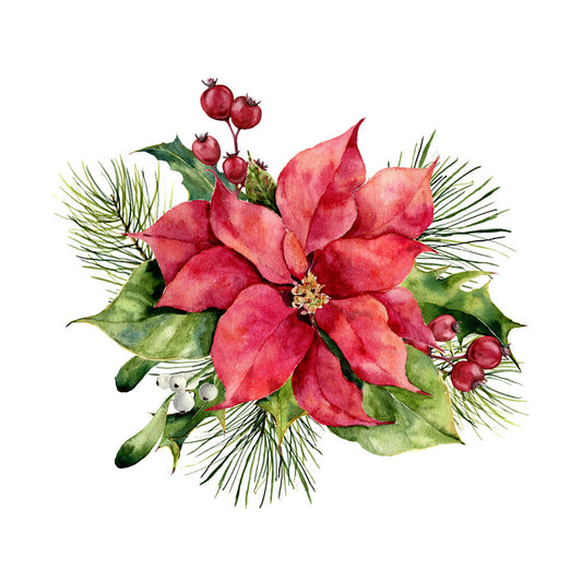 Red poinsettia
