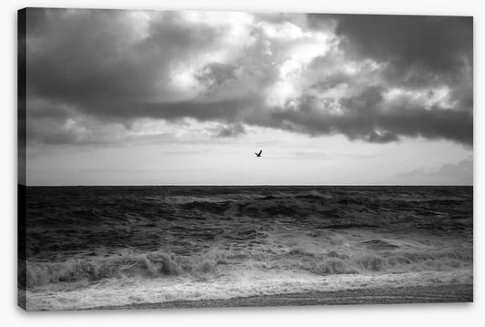 Stormy sea soar