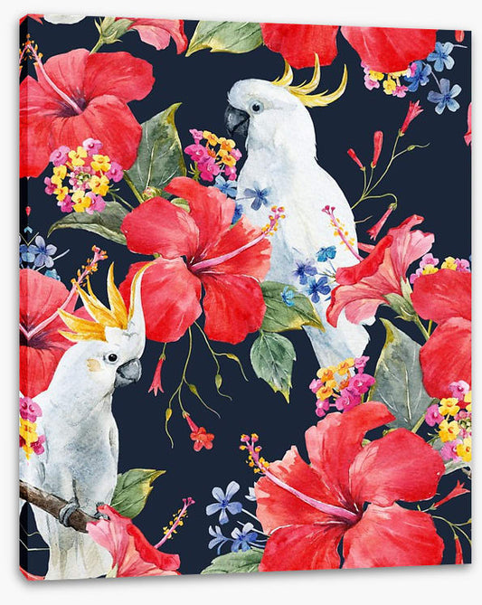 Hibiscus cockatoo