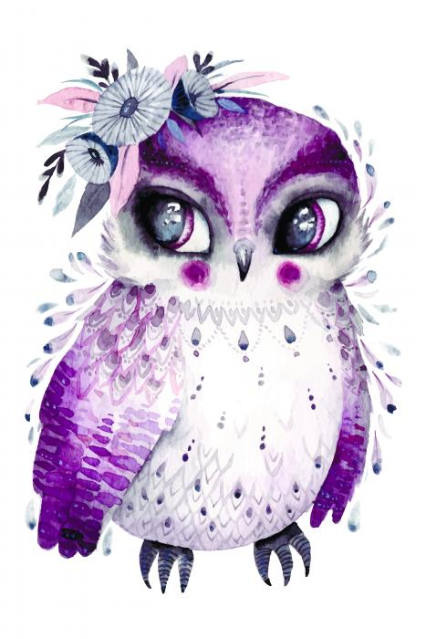 Little lady owlet