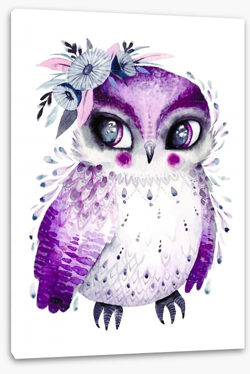 Little lady owlet