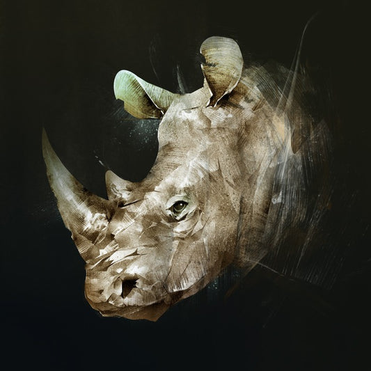 The African rhino
