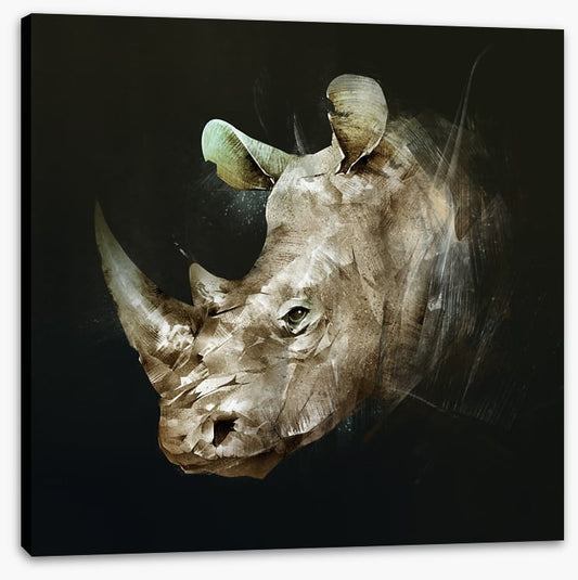 The African rhino