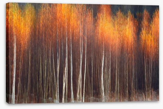 Flecks of fall