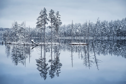 Frozen reflections