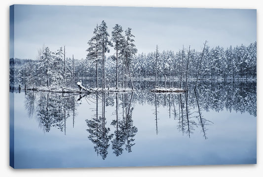 Frozen reflections