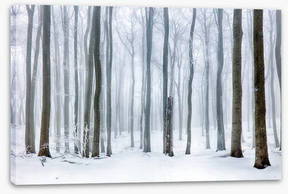 Snow forest stump