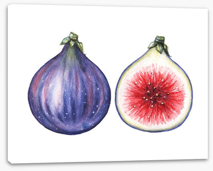 Half past fig