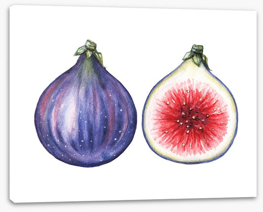Half past fig