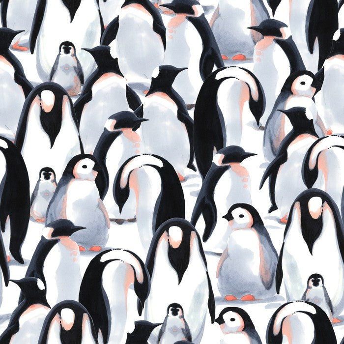 Penguin parade