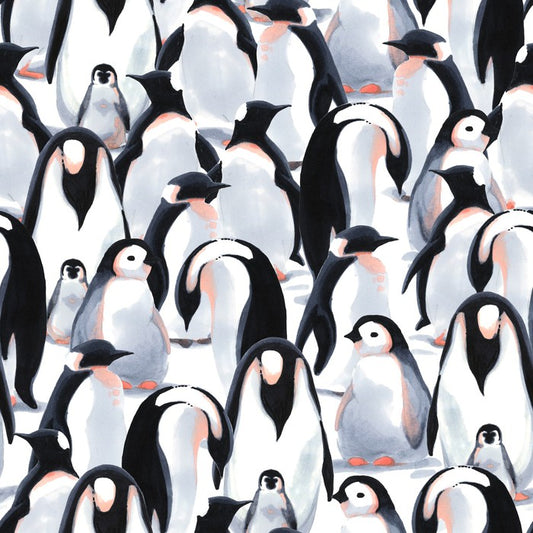 Penguin parade