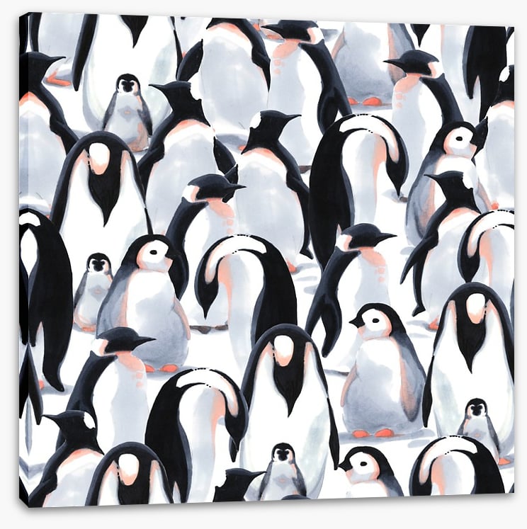 Penguin parade
