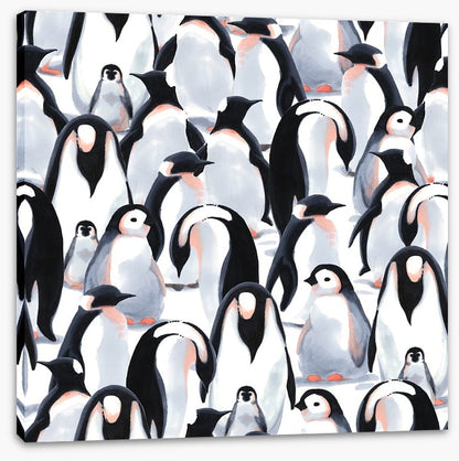 Penguin parade
