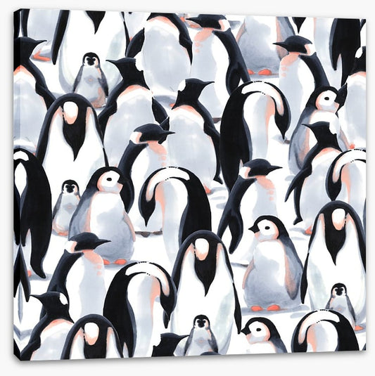 Penguin parade
