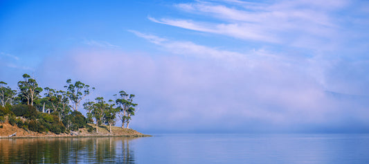 Tasmania