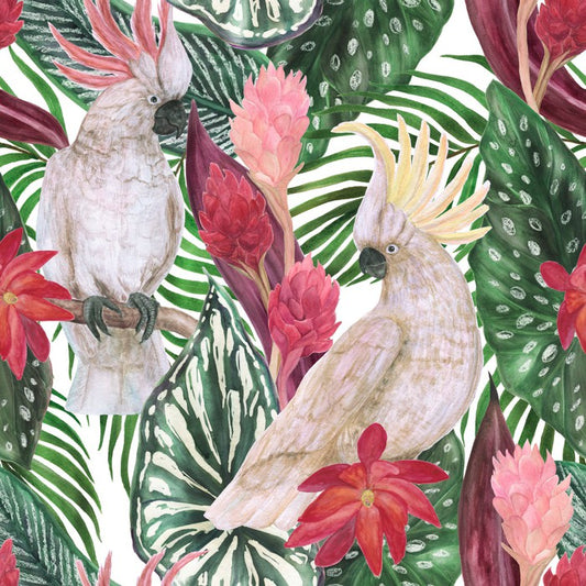 Cockatoo palms