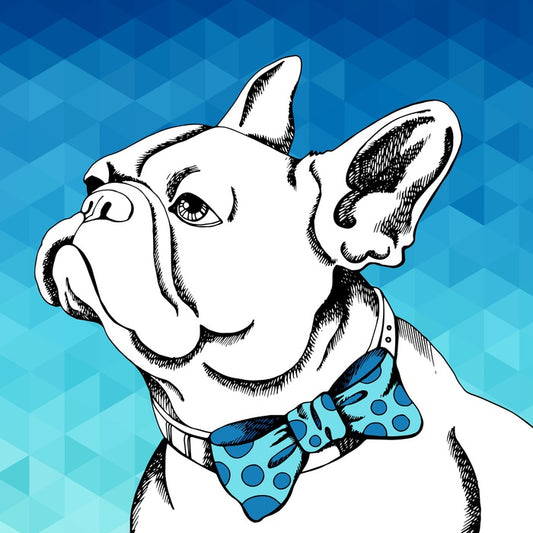 Bulldog bowtie