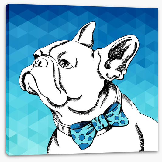 Bulldog bowtie