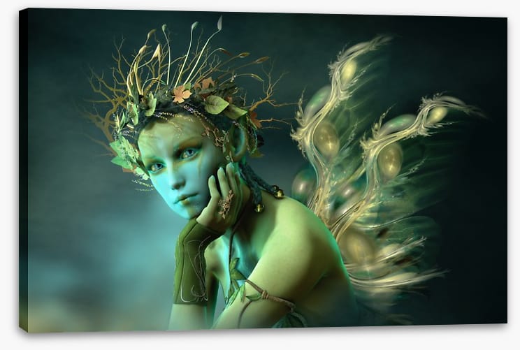 The woodland sylph