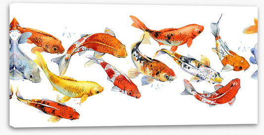 Follow the goldfish