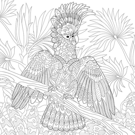 Colour me cocky