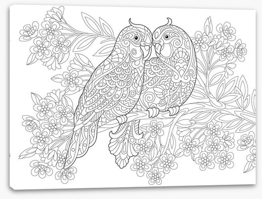 Colour me parrot pair