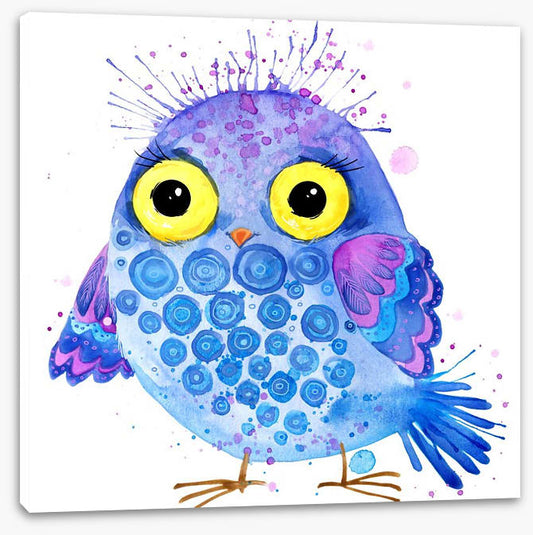 Little blue owl