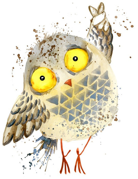 Little yellow owl