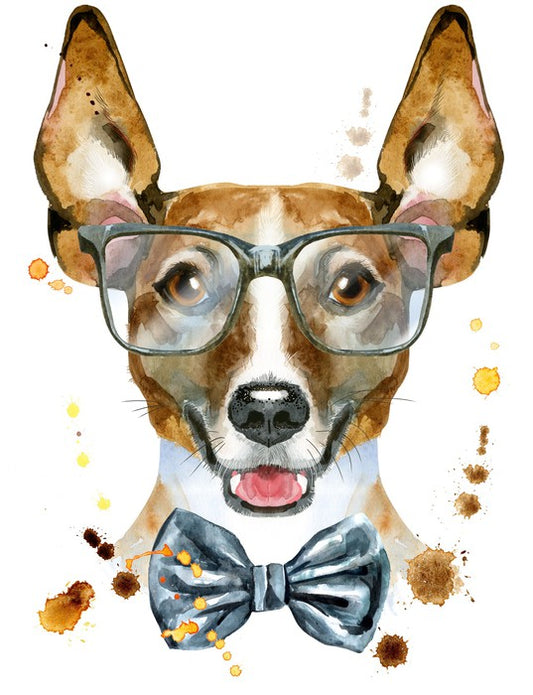 Mr Jack Russell