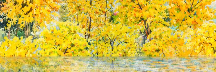 River of fall