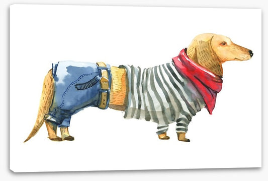The height of fashion