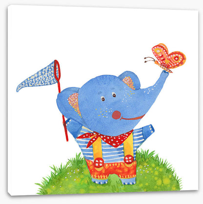 Elephants